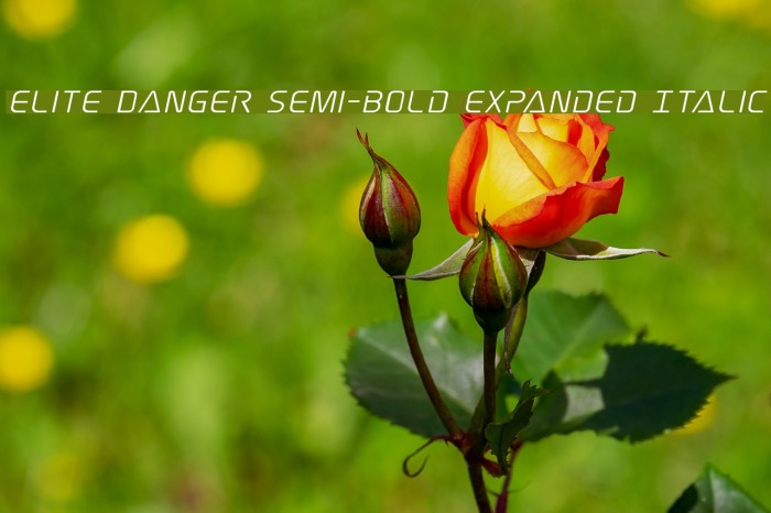 Elite Danger Semi-Bold Expanded Italic Example 2