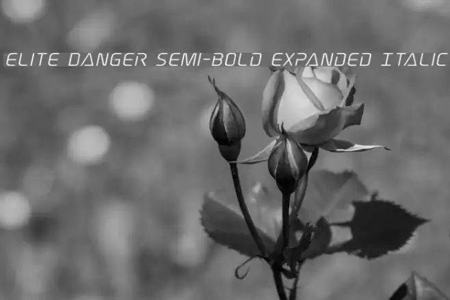 Elite Danger Semi-Bold Expanded Italic Font examples