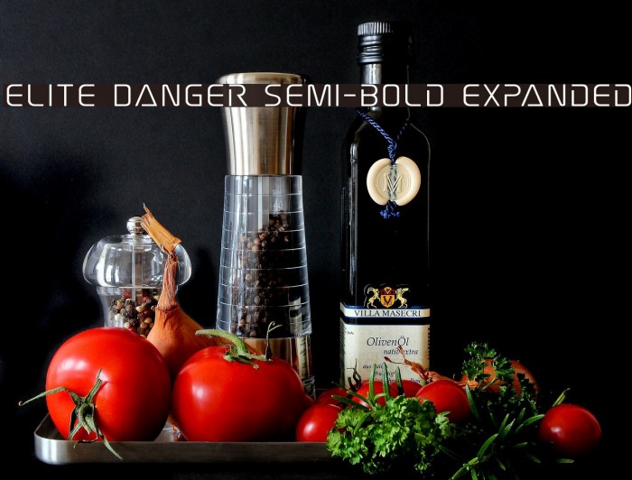 Elite Danger Semi-Bold Expanded Example 2