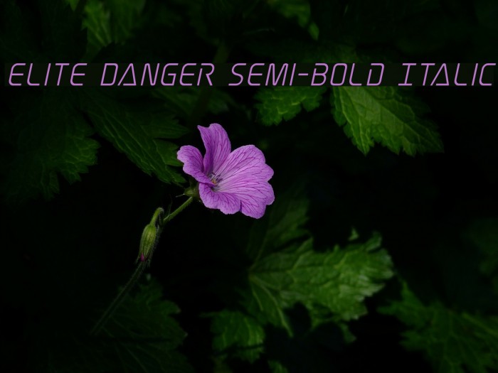 Elite Danger Semi-Bold Italic Font examples