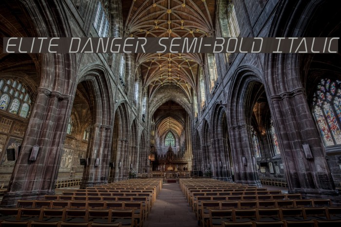 Elite Danger Semi-Bold Italic Font examples