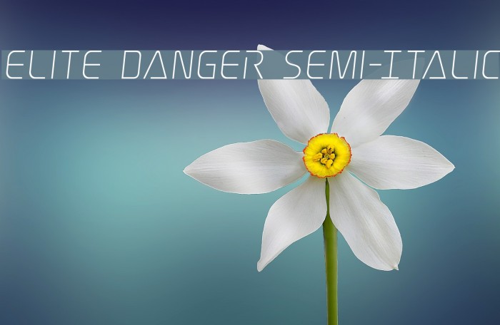 Elite Danger Semi-Italic Font examples