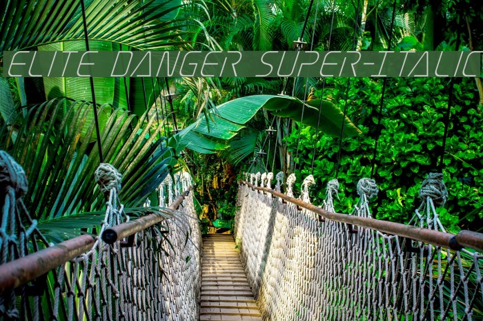 Elite Danger Super-Italic Font examples