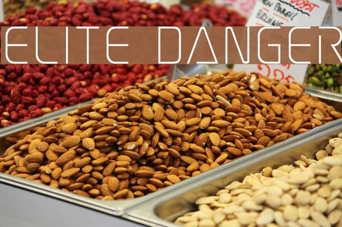 Elite Danger Font examples