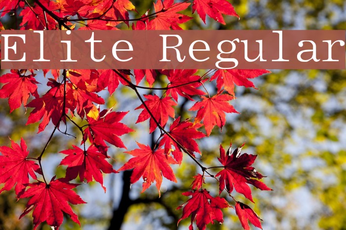 Elite Regular Font examples