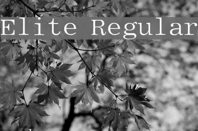 Elite Regular  examples