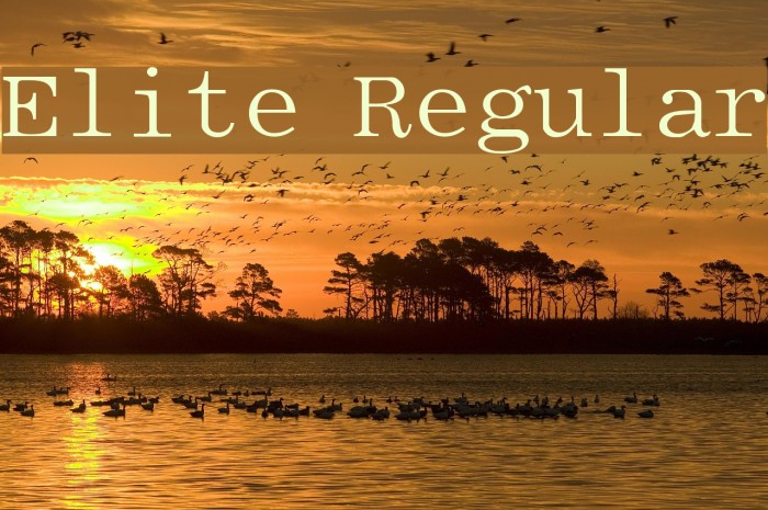 Elite Regular Font examples