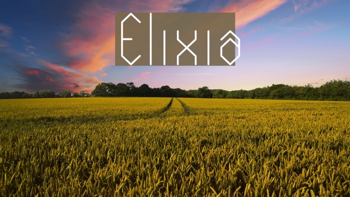 Elixia Example 1
