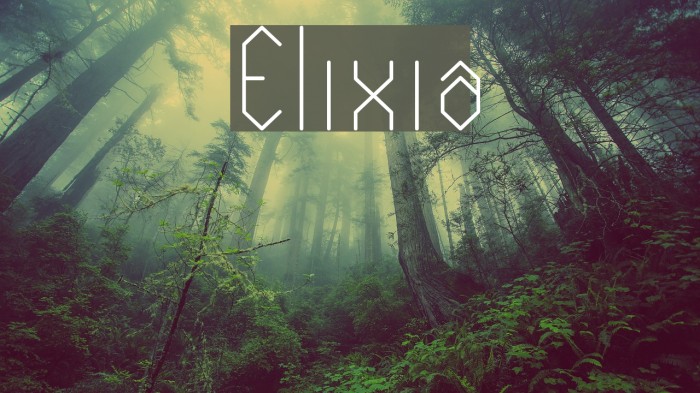 Elixia Example 2