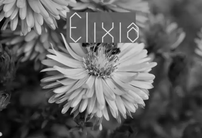 Elixia Example 3