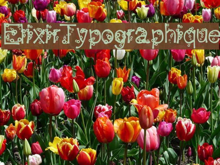 ElixirTypographique Font examples