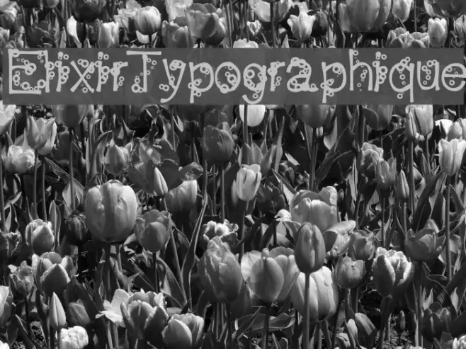 ElixirTypographique Example 2