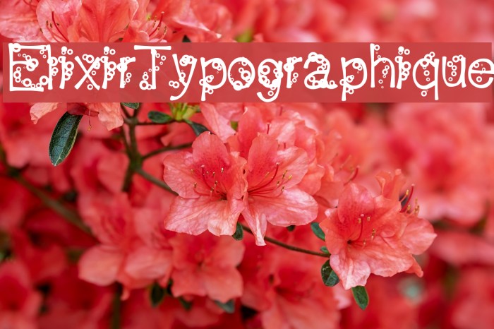 ElixirTypographique Font examples