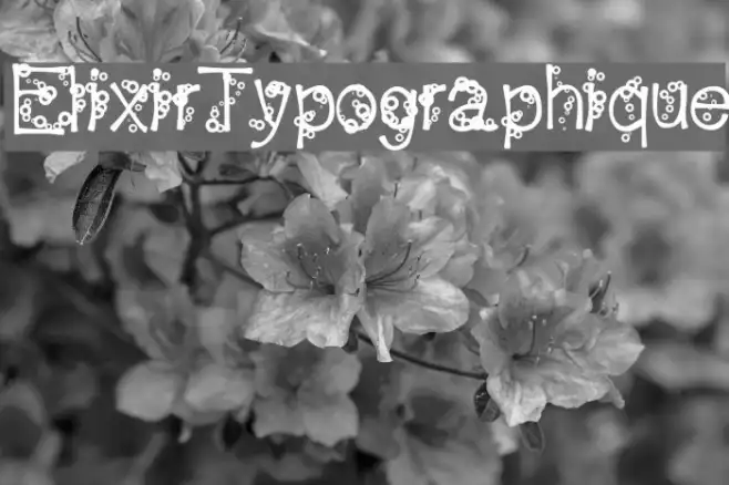 ElixirTypographique Example 3