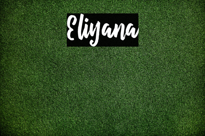 Eliyana Font examples