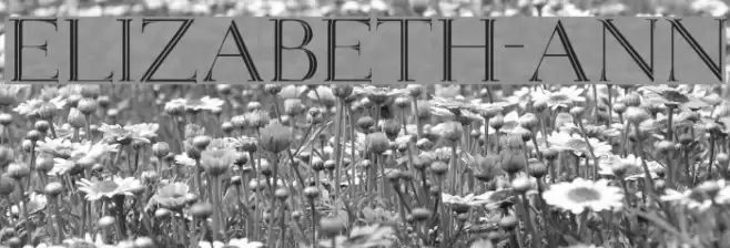 Elizabeth-ANN Font examples