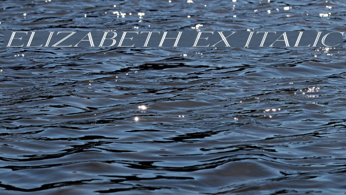 Elizabeth Ex Italic Caratteri examples