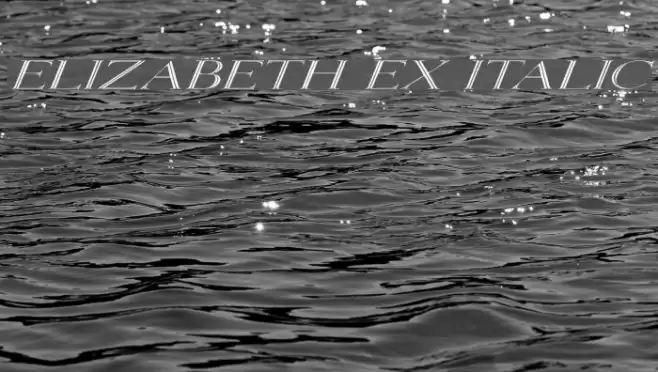 Elizabeth Ex Italic Caratteri examples