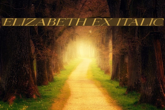 Elizabeth Ex Italic Caratteri examples