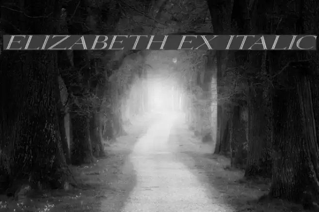 Elizabeth Ex Italic Caratteri examples