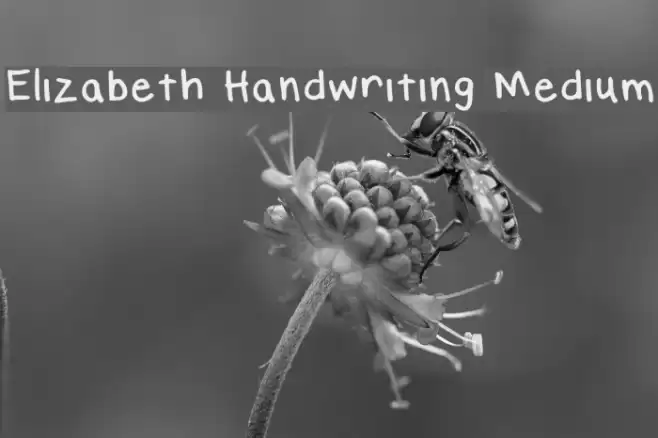 Elizabeth Handwriting Medium Font examples
