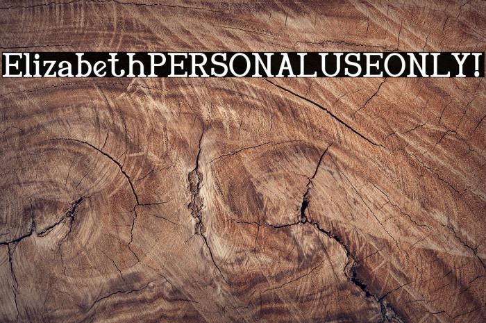 Elizabeth PERSONAL USE ONLY! Example 3