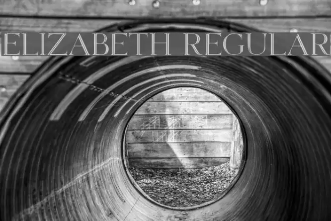 Elizabeth Regular Font examples