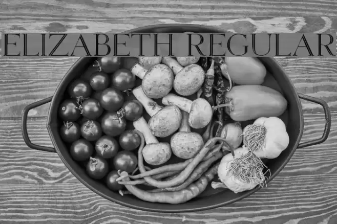 Elizabeth Regular Font examples