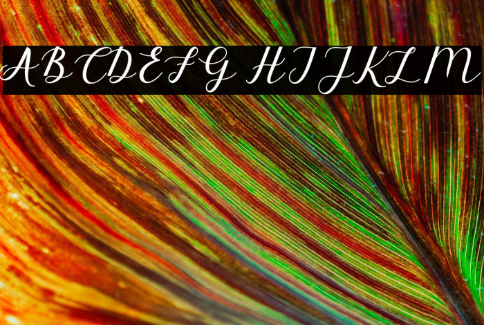 ElizabethScript Example 3