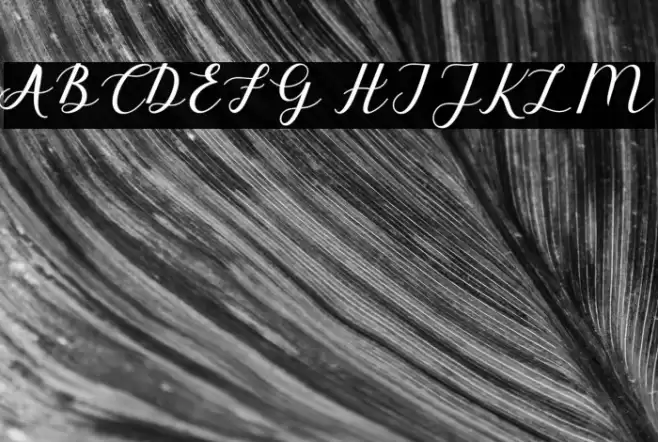 ElizabethScript Font examples