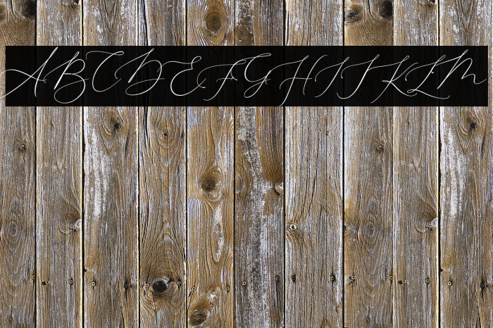 Elizabeth Font examples