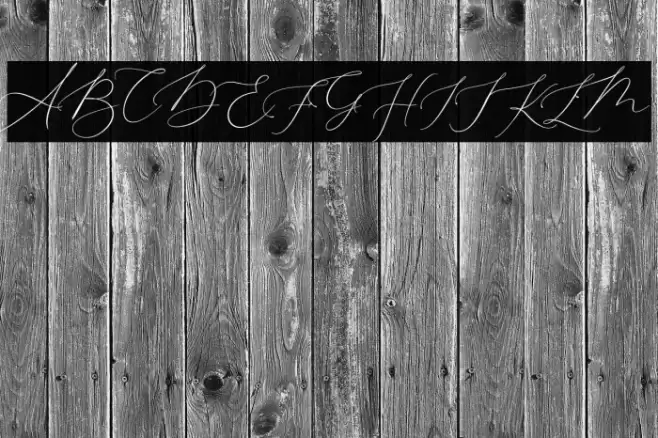 Elizabeth Font examples