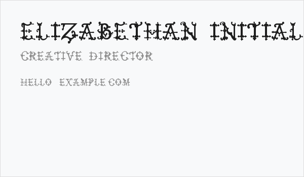 Elizabethan Initials tfb Business Card