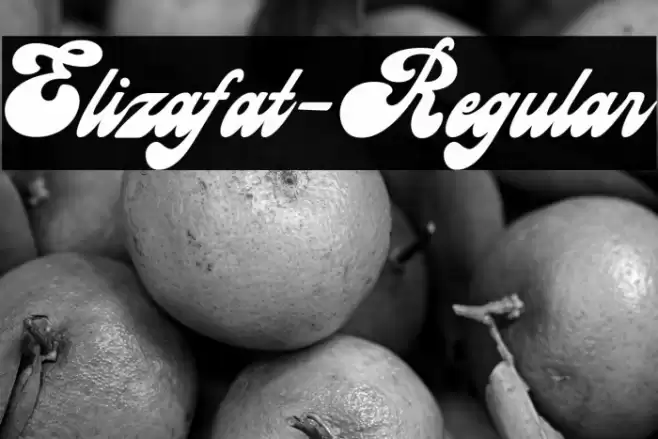 Elizafat-Regular Font examples