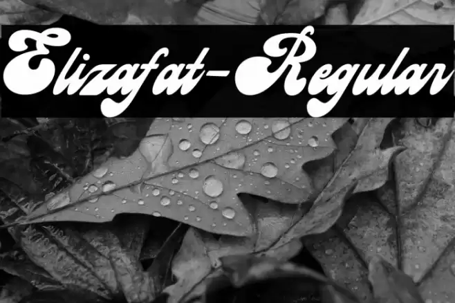 Elizafat-Regular Font examples