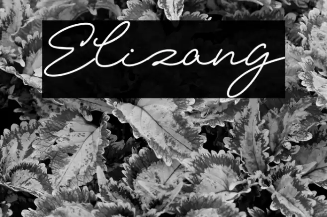 Elizany Font examples