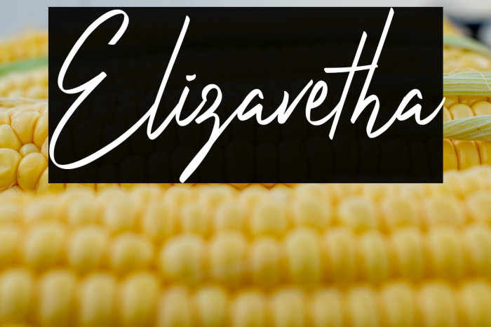 Elizavetha Example 1