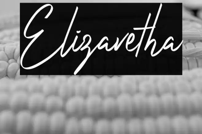 Elizavetha Example 1