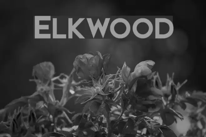 Elkwood Font examples