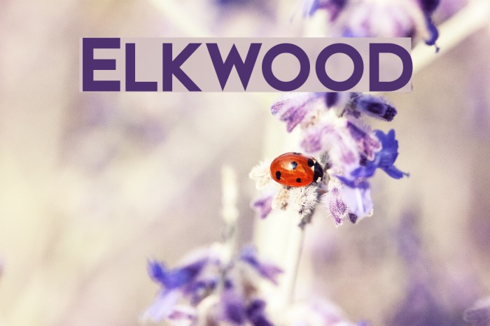 Elkwood Fonte examples
