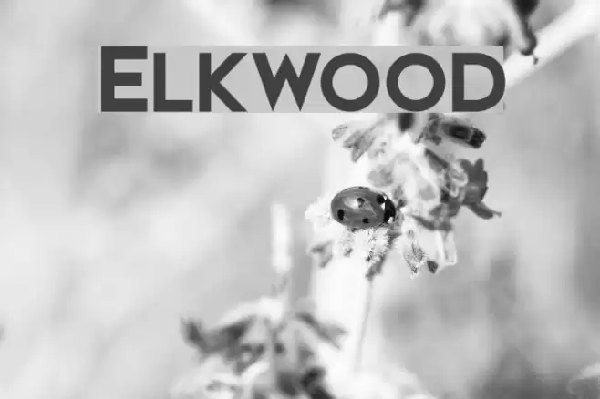 Elkwood Font examples