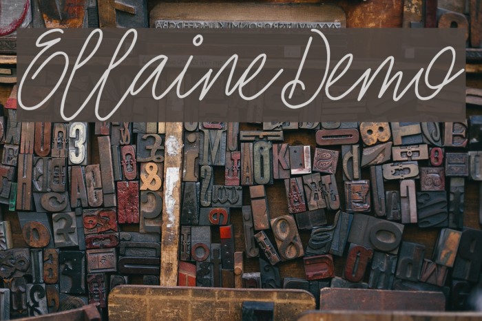 EllaineDemo Font examples