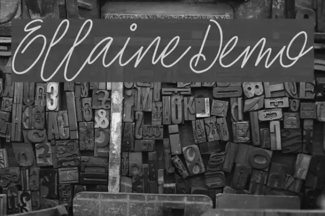EllaineDemo Example 1