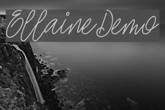 EllaineDemo Example 3