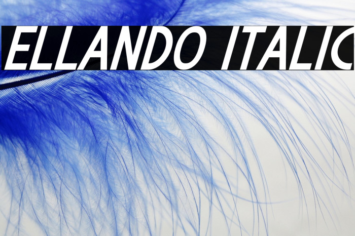 Ellando Italic Example 1