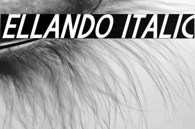 Ellando Italic Example 1