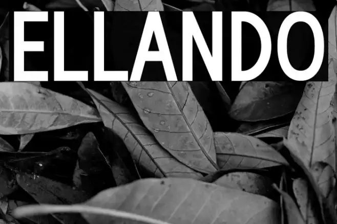 Ellando Example 3