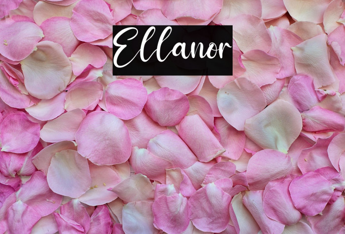 Ellanor Example 1