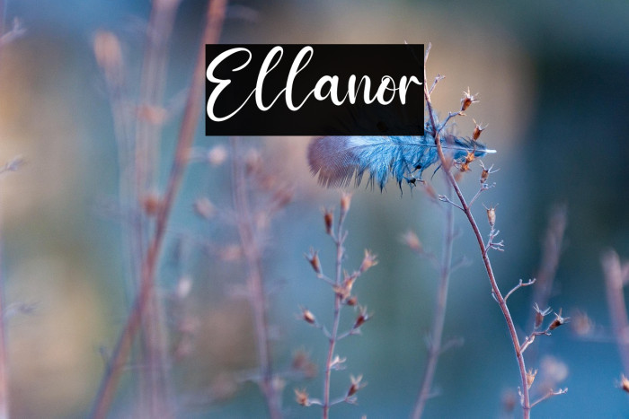 Ellanor Example 3
