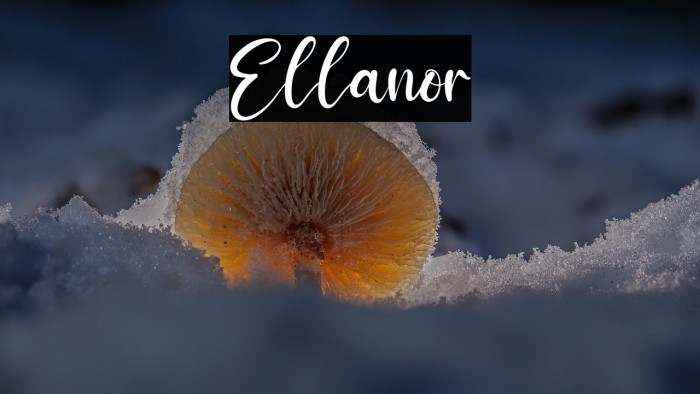 Ellanor Example 2